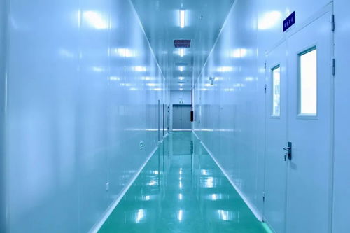 科技賦能 銀離子抗菌技術如何提升運動品牌競爭力